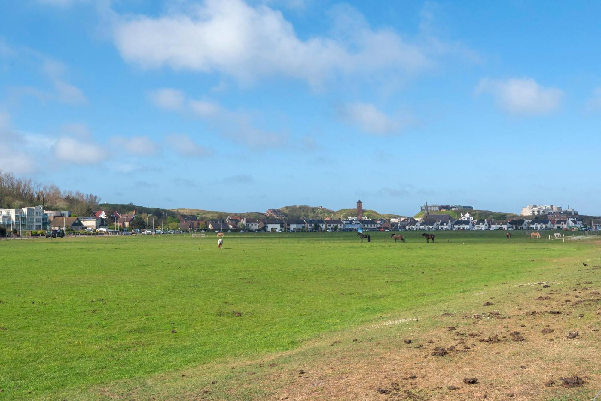 Apartament Wijkiki Surf House Wijk aan Zee Zewnętrze zdjęcie